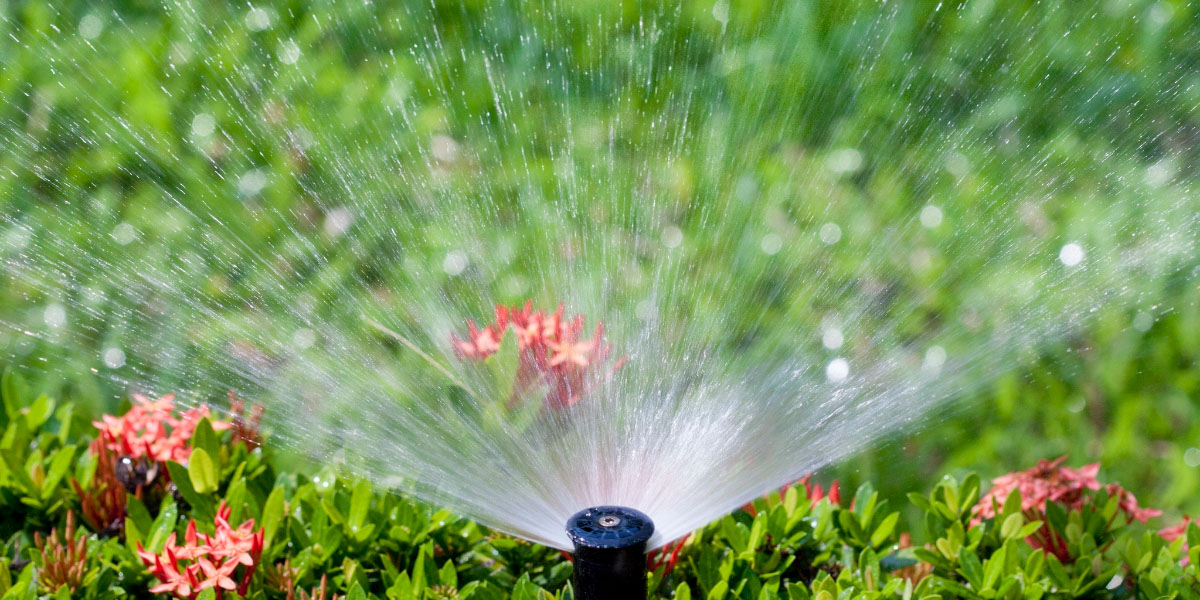 Drip Irrigation vs. Sprinklers: Which Is Best for Your Garden?